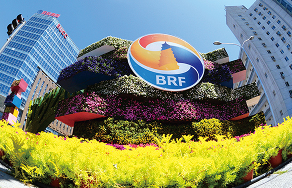 公司圆满完成&ldquo;一带一路&rdquo;国际合作高峰论坛技术服务工作