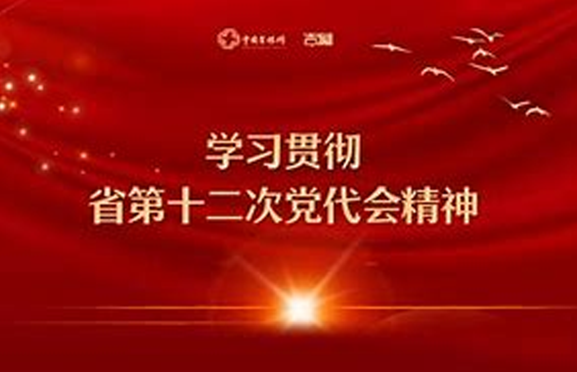 公司完成吉林省党代会证件服务
