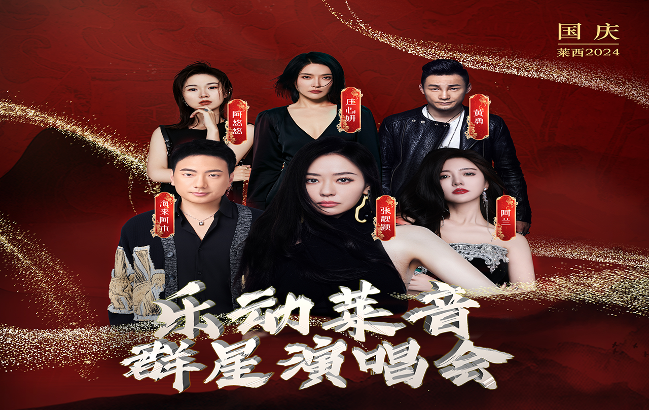 公司顺利完成乐动莱音群星演唱会证件技术服务工作